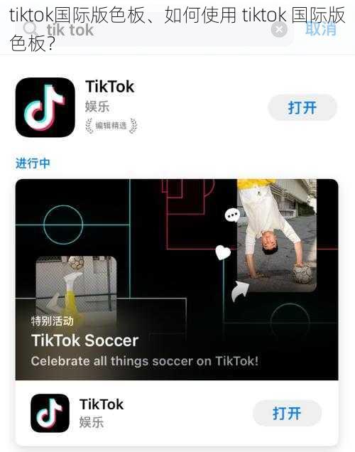 tiktok国际版色板、如何使用 tiktok 国际版色板？