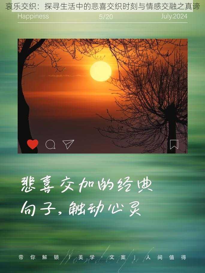 哀乐交织：探寻生活中的悲喜交织时刻与情感交融之真谛