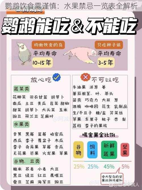 鹦鹉饮食需谨慎：水果禁忌一览表全解析