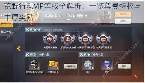 荒野行动VIP等级全解析：一览尊贵特权与丰厚奖励