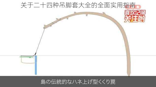 关于二十四种吊脚套大全的全面实用指南