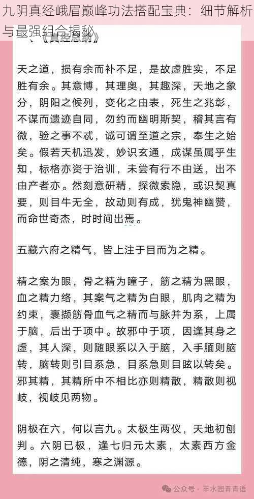 九阴真经峨眉巅峰功法搭配宝典：细节解析与最强组合揭秘