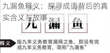 九漏鱼释义：探寻成语背后的真实含义与故事