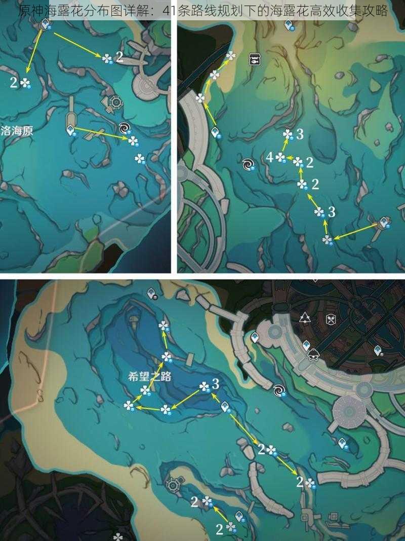 原神海露花分布图详解：41条路线规划下的海露花高效收集攻略