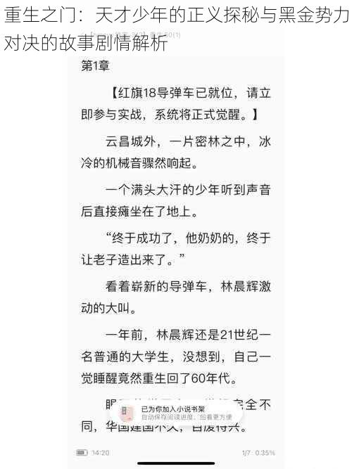 重生之门：天才少年的正义探秘与黑金势力对决的故事剧情解析